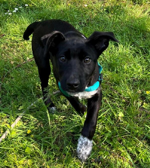 Elettra Cucciola Stupenda